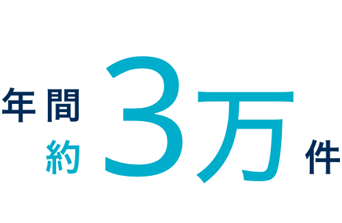 年間約3万件